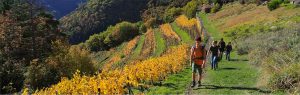 Hautes Terres Communautés, un territoire sport santé