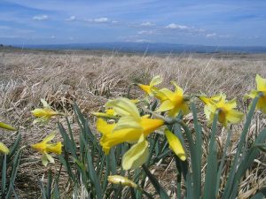 Hautes Terres Communauté : biodiversité