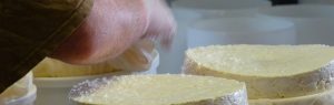 Vos producteurs